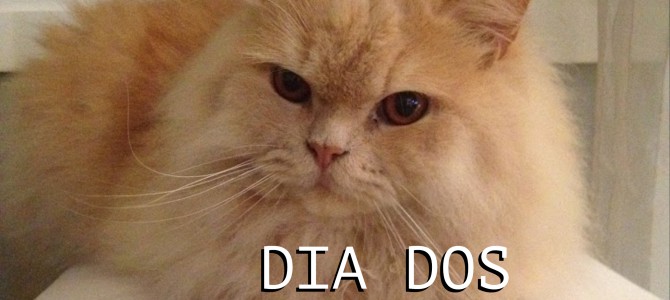 Dia dos Animais Dia dos Animais